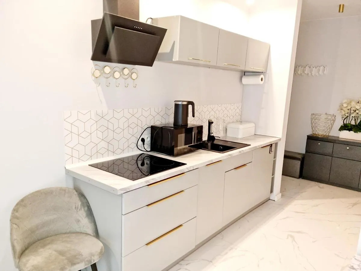Апартаменты Apartamenty Chopina Карпач